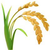 Fiber